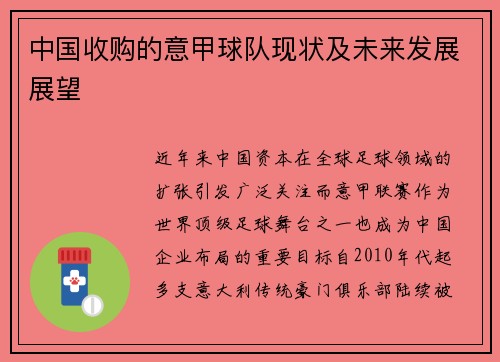 中国收购的意甲球队现状及未来发展展望
